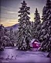Julestemning trenger absolutt ikke å skapes bare ved hjelp av elektrisk lys. Noen ganger er naturen mer enn nok, som her - ved den lille røde stua i skogen.