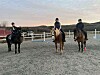 Tre av veterinærene på hesteryggen i ettermiddagssola.