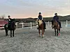 Tre av veterinærene på hesteryggen i ettermiddagssola.