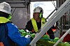 Fiskere som jobber i den havgående flåten blir taperne i regjeringens kvotemelding.