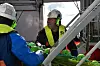Fiskere som jobber i den havgående flåten blir taperne i regjeringens kvotemelding.