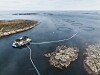 Lakseoppdrett i Midt-Norge, Salmar.