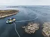 Lakseoppdrett i Midt-Norge, Salmar.