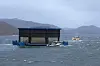 Omsider fikk de med seg merden bort fra land og i sikkerhet.