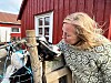 Geitene hører hjemme hos Nina Strandvahl på Jettestuen.