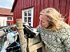Geitene hører hjemme hos Nina Strandvahl på Jettestuen.