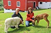 Frode Setran og Anna Setran driver Setran Gård, som nå får 40.000 kroner i støtte fra Nærøysund kommunes næringsfond til videre utvikling av opplevelsesgården