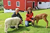 Frode Setran og Anna Setran driver Setran Gård, som nå får 40.000 kroner i støtte fra Nærøysund kommunes næringsfond til videre utvikling av opplevelsesgården