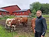 Knut Finne foran noen av melkekyrne.