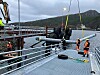 Den nye ferjekaibrua er tatt i bruk. Bildet er fra monteringsarbeidet.