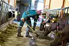 Til høsten blir det et nytt tilbud ved Val videregående skole.