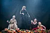 Linn Bjørnvik Grøder, Katja Brita Lindeberg, Evy Kasseth Røsten og Marte Stolp kommer alle til Nærøysund.