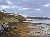 Risværet