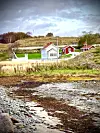 Risværet