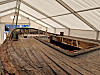 Havbris under restaurering.