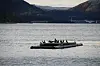 Skarven hviler på en flytebrygge ved Naustbukta. Den har nok en lengre adventstid enn oss mennesker der den sitter å venter på sol og varme slik at den kan flytte ut til holmene i havet igjen.