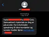 Pornoutpressing. Skjermdump: NorSIS