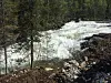 Ungdom i Bindal og Leka inviteres til fine dager for å bedre kjent med naturen.