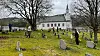 Gammel løv må fjernes til fordel for grønt gress.