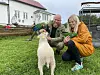 Jan-Erik og Ilse-Iren Johnsen Skogsøy hadde planer om full drift av reptil- og dyrepark på Leka, men da støtten fra Leka kommune uteble måtte de holde stengt hele sesongen. Nå skal formannskapet i Leka behandle søknaden på nytt.
