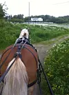 Trivelig treningsstund med Tiril.