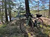 Støtte til sykkelrute i flott, trøndersk natur.