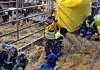 Lilleval barnehage er en av de tre barnehagene som foreldrene er best fornøyd med.