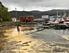Lørdag var Kolvereidvågen full av pollen.