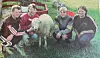 Sauesankere i Bindal: Svenn Håkon Pettersen, Arnfinn Elstad, Elling Bækestad og Hild Astrid Storheil.