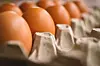 Illustrasjonsbilde egg.