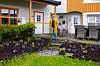 Avdelingsleder Grethe Kvisterø og resten av avdelingen har mange aktiviteter å tilby sine brukere, blant annet har de plantet disse blomstene og frisket opp hagen.