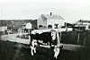 Illustrasjonsfoto av ku i Rørvik rundt 1925.
