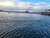 150.000 smolt på plass i merda.