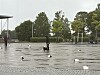 Det er stadig noe som skjer på Kolvereid torg.