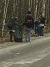 Nå har det blitt fint og ryddig på strekningen langs veien.