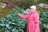Anne-Lise R. Arntsen og Hageselskapet Ottersøy og omegn vant Hagekulturprisen 2019.
