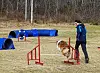 Vakre svev i agility - Lissy og Wenche Jenny Marø Røsseth.