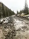 Det er lagt ned en stor jobb for å bygge fire kilometer skogsbilvei i ulent terreng.
