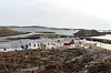 Det kom inn overraskende lite fisk til Rørvik Fisk sitt mottak på Vandsøya i løpet av vinterfisket.