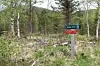 Tunanlegget skal ha vært plassert i dette området i Vassåsmarka.