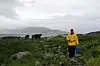 Mona Erfjord Hald er nede for å se til de seks som er inne på beiteområdet. Fortsatt mangler elleve kyr.
