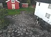 Paul og Svein Arne Gaupen DA har startet jobben med å avdekke de gamle steinhellene på tunet til den tidligere lensmannsgården i Bindal.