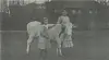 Dette bildet skal være tatt ved Kolvereid prestegård rundt 1912. En av personene på bildet heter muligens Lovinda Andrea Andersen, men dette er ikke bekreftet. Kjenner du dem så ta gjerne kontakt.