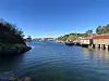 Det er i dette området dieseloljesølet er. Lukten kjennes fortsatt ved brua.