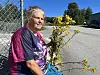 Christina Dahl håper at folk rundt omkring kan bidra til å bekjempe framveksten av denne planten.