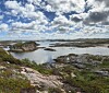 Sjøfuglbestanden har gått ned med 80 prosent.