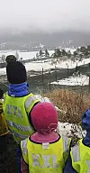 Barnehagebarna syntes det var spennende å følge med på innsamlingen av reinen.