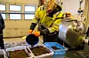 Elevene gjør forsøk med ulike sammensteninger.