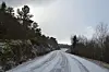 Det kan ligge en del snø på veiene fra i natt. Flere steder vil ligge på en temperatur rundt frysepunktet, så det kan være lurt å være litt forsiktig på veien i dag.