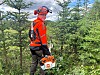 Sindre Jenssen synes det er veldig artig ute i skogen, men kunne tenkt sge en knottfri skog.